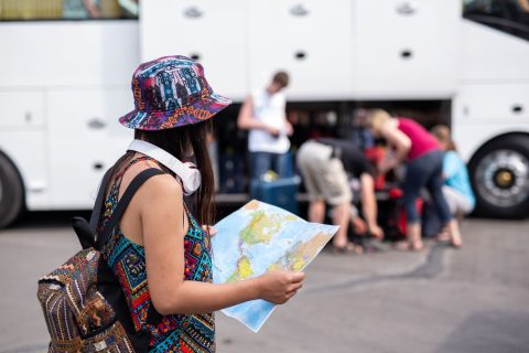 music festival transportation services
